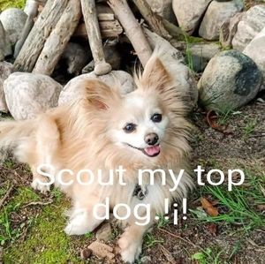 Meet your Posher, Tyler